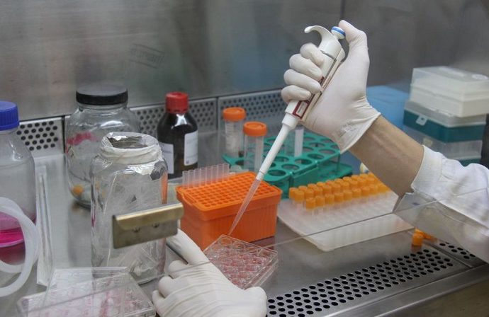 Imagem da notícia Governo Federal corta benefícios fiscais para pesquisa científica e atinge projetos do Butantan e Fiocruz