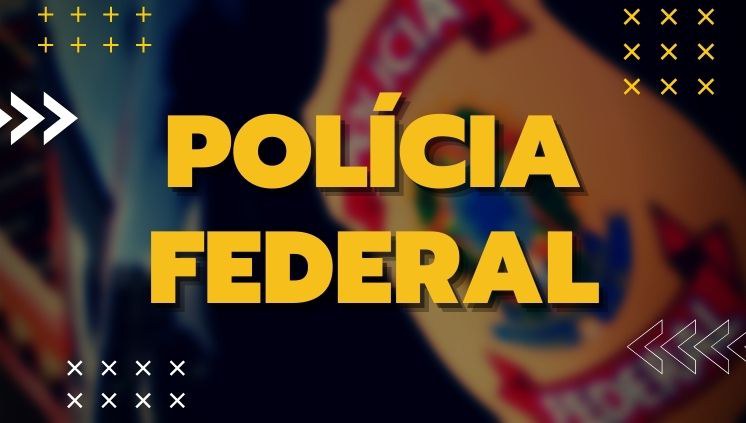 Imagem da notícia Polícia Federal e Receita Federal realizam a apreensão de mercadorias objeto de descaminho na fronteira com o Uruguai
