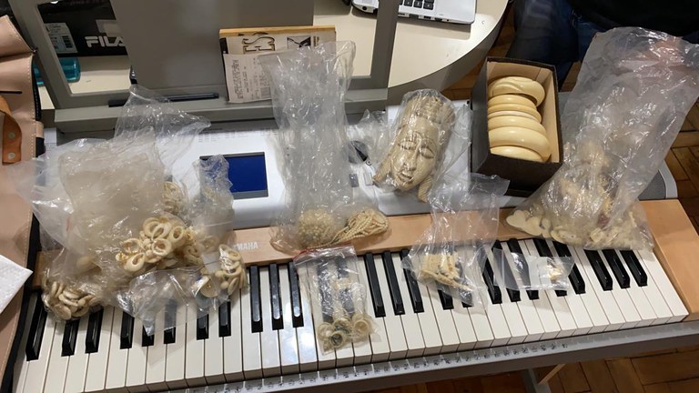Imagem da notícia PF cumpre mandados de busca e apreensão envolvendo comércio ilegal de marfim