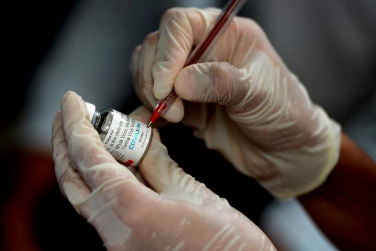 Imagem da notícia Ministério da Saúde pede autorização à Anvisa para importar vacina Covaxin