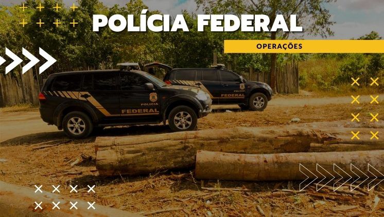 Imagem da notícia PF combate desmatamento e venda ilegal de terras públicas no norte do Brasil