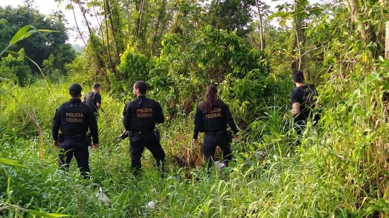Imagem da notícia Operação Trapiche combate organização criminosa de tráfico de drogas no norte