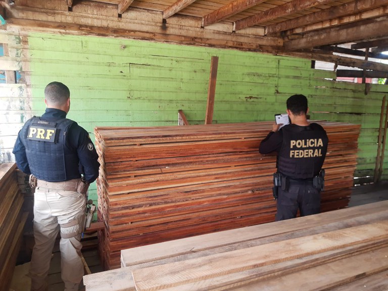 Imagem da notícia Operação Floresta em Pé prende quatro madeireiros clandestinos