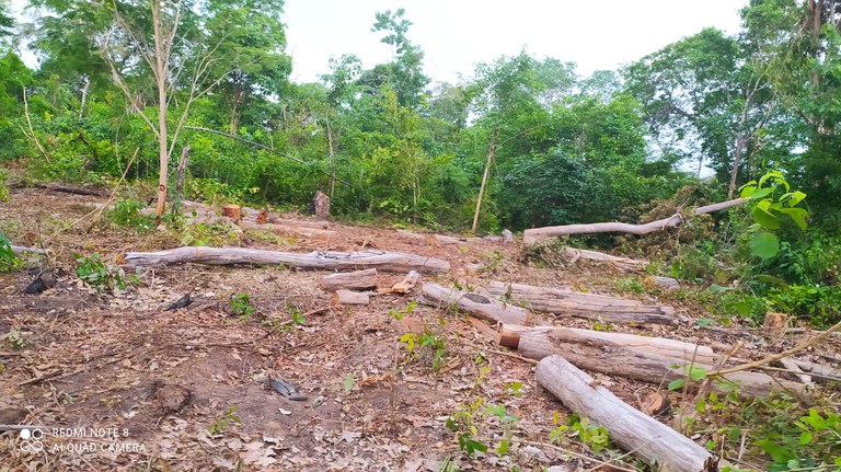 Imagem da notícia Operação Juriti combate desmatamento em Terra Indígena Urucu-Juruá
