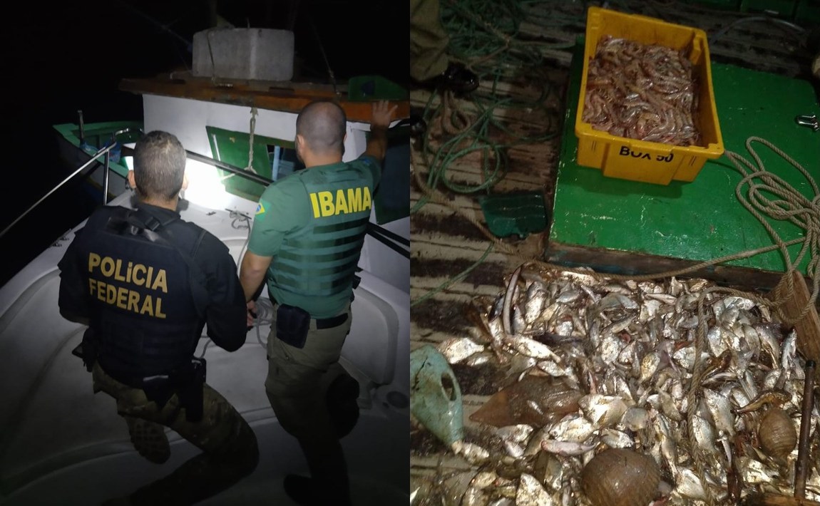 Imagem da notícia PF, IBAMA e ICMBio deflagram operação para coibir a pesca ilegal de camarão