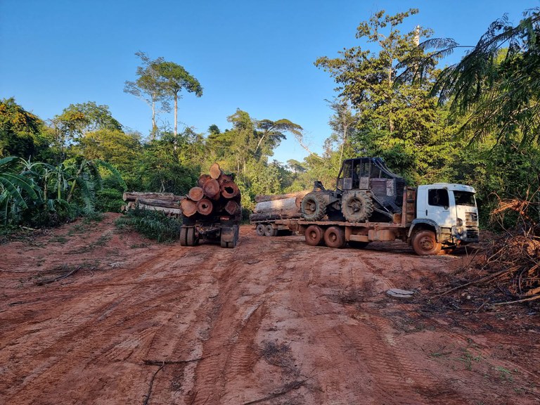 Imagem da notícia PF atua na repressão de extração de madeira e de garimpos clandestinos em terras indígenas