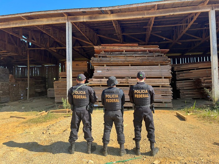 Imagem da notícia Polícia Federal deflagra a operação Uru Praesidium para fiscalizar comércio ilegal de madeira
