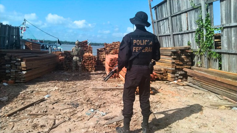 Imagem da notícia Policia Federal e IBAMA combatem desmatamento ilegal na Amazônia
